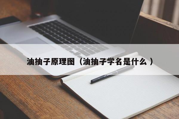 油抽子原理图（油抽子学名是什么 ）