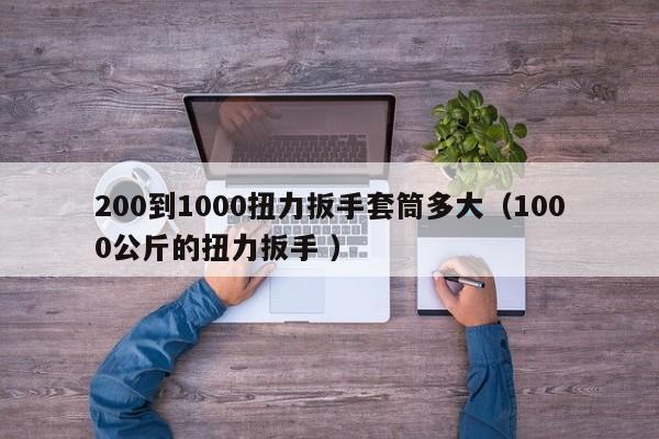 200到1000扭力扳手套筒多大（1000公斤的扭力扳手 ）